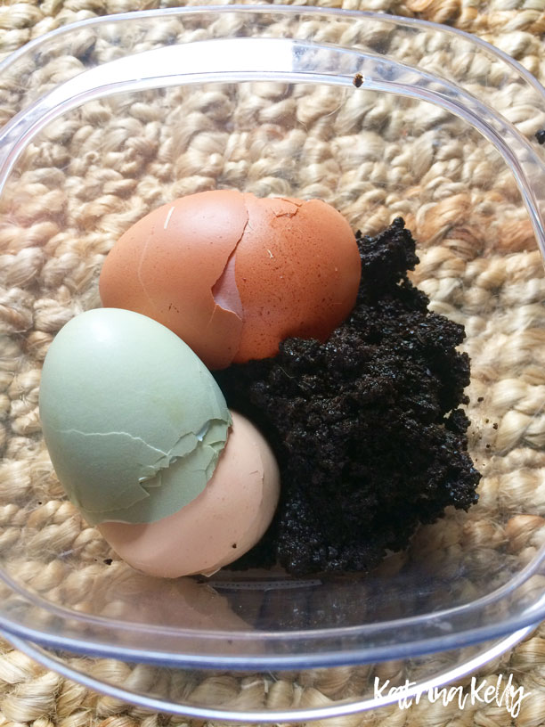 Easy Composting with Coffee Grounds & Eggshells