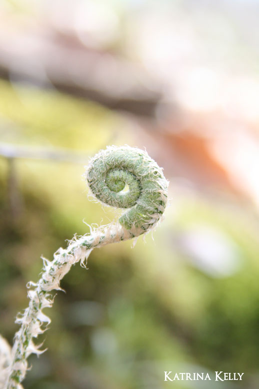 Spring Hike at Mammoth Cave