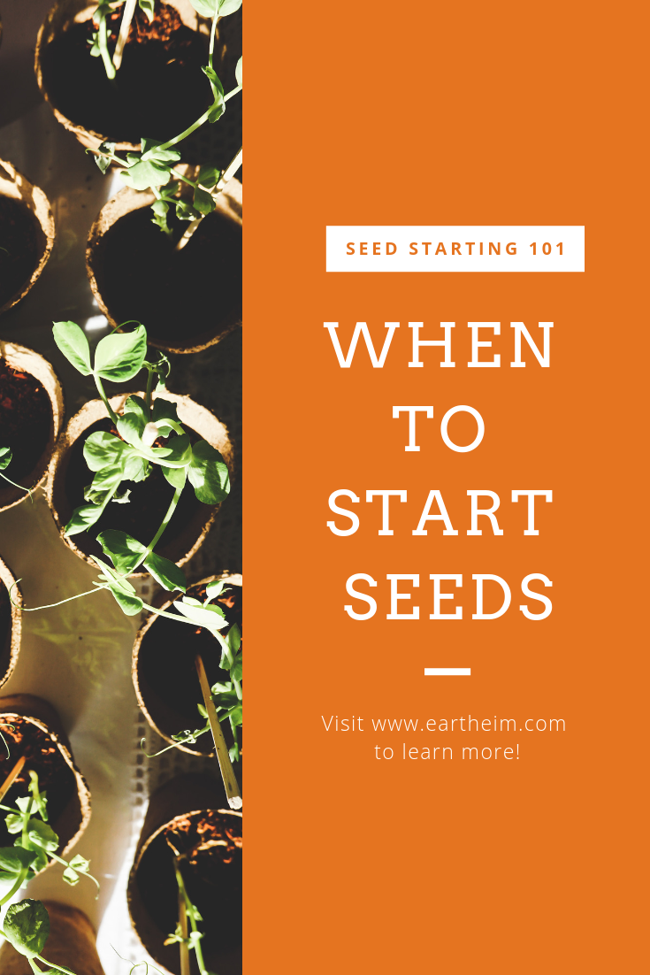 Starting Seeds Indoors: What should you start and when