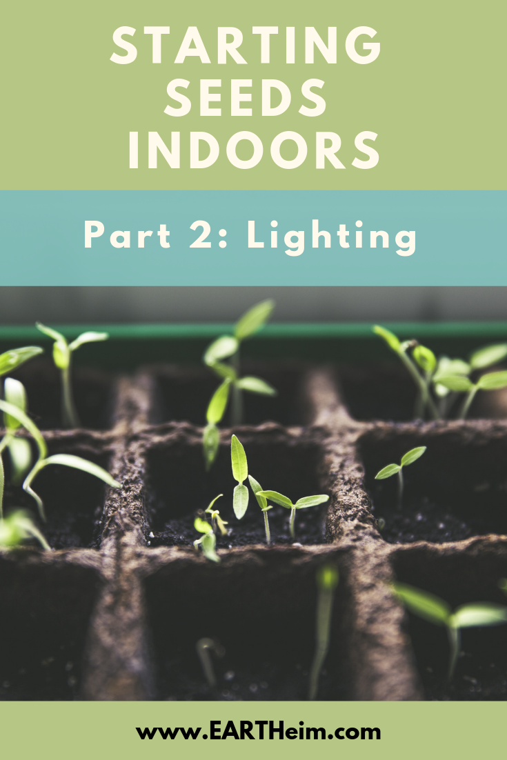 Starting Seeds Indoors Pt 2: Lighting
