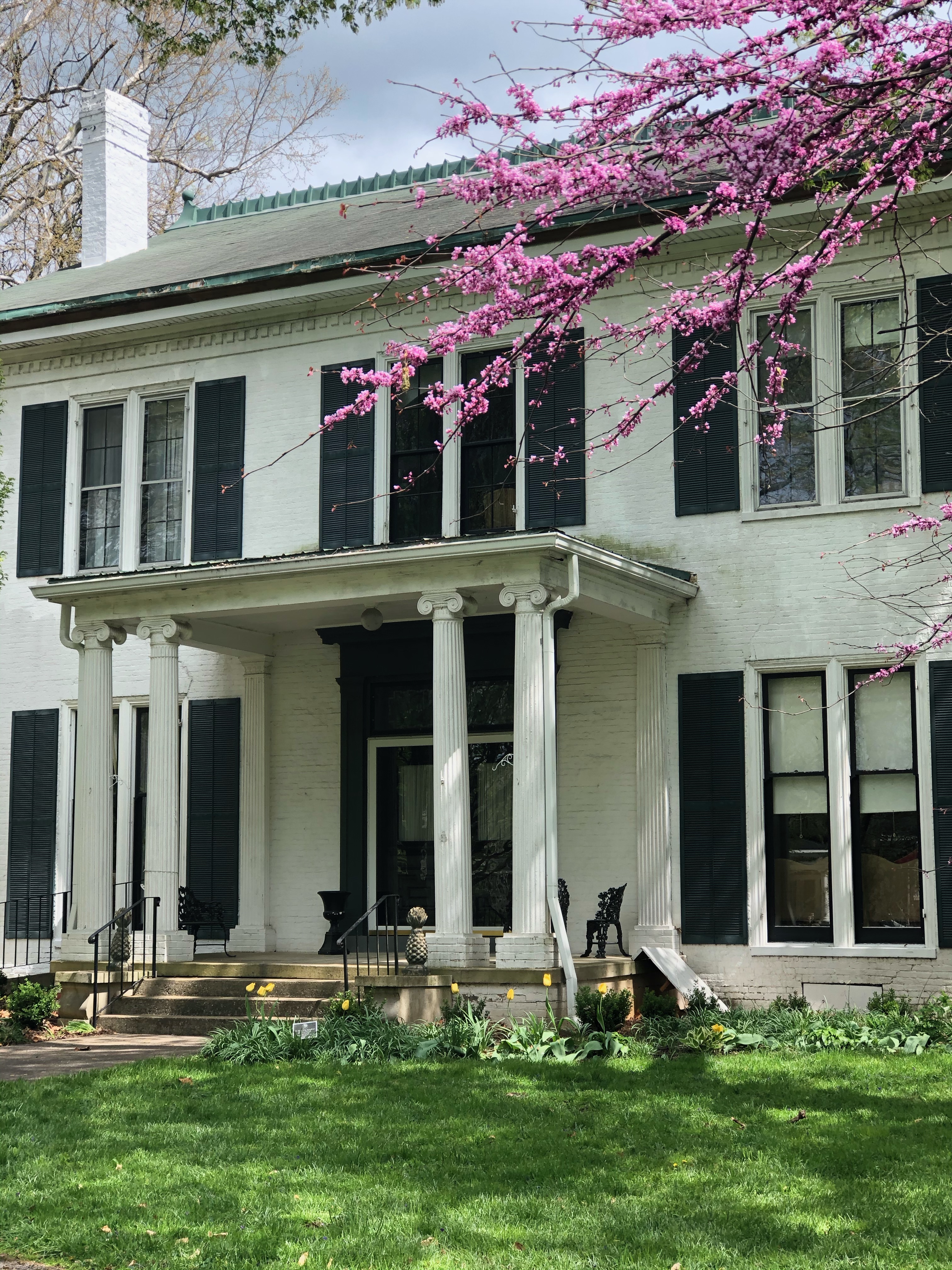 EARTHeim News: Visiting the Wallis House