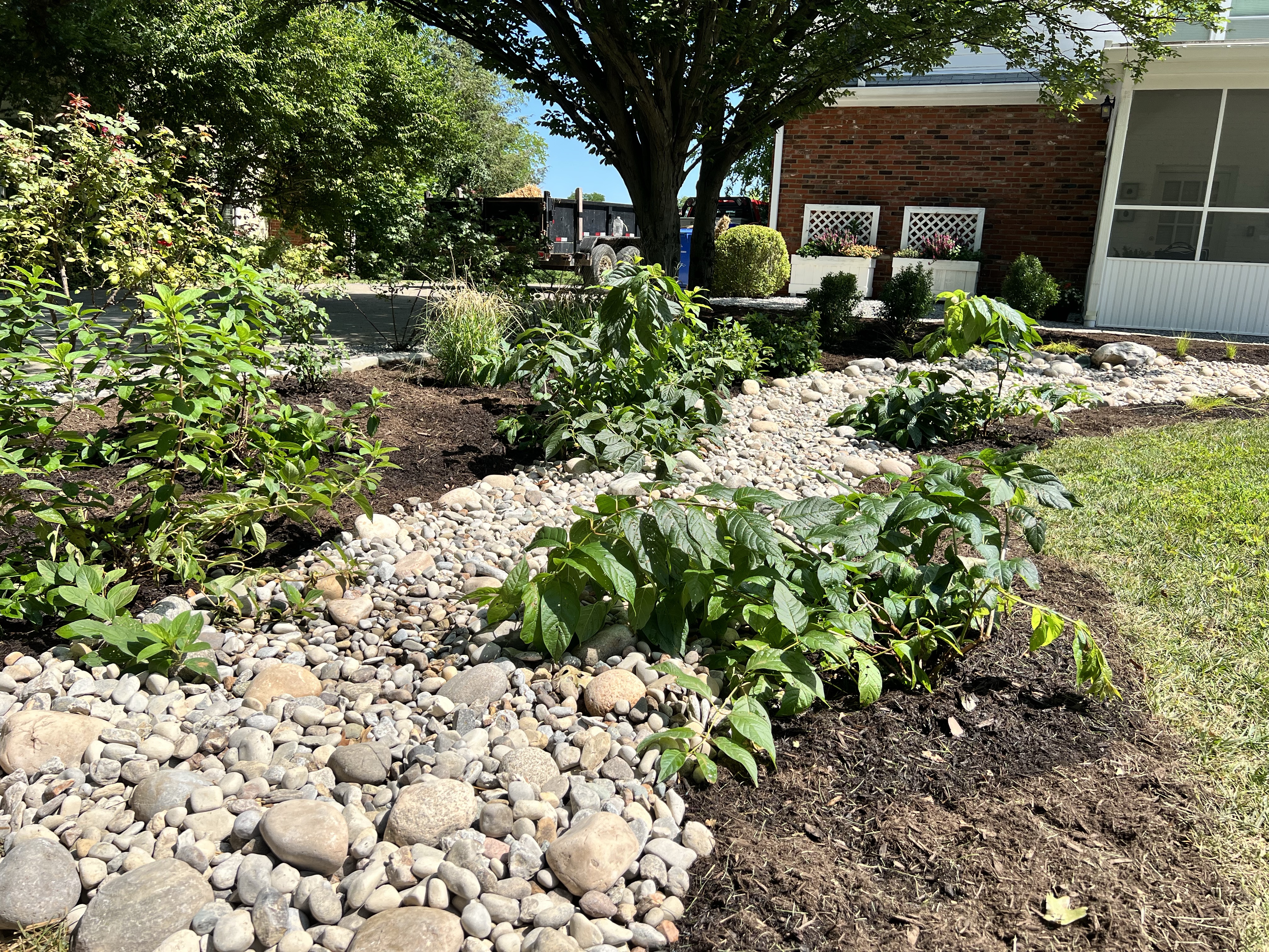 Native Plant Rain Garden & Creekbed Rainwater Diversion French Drain